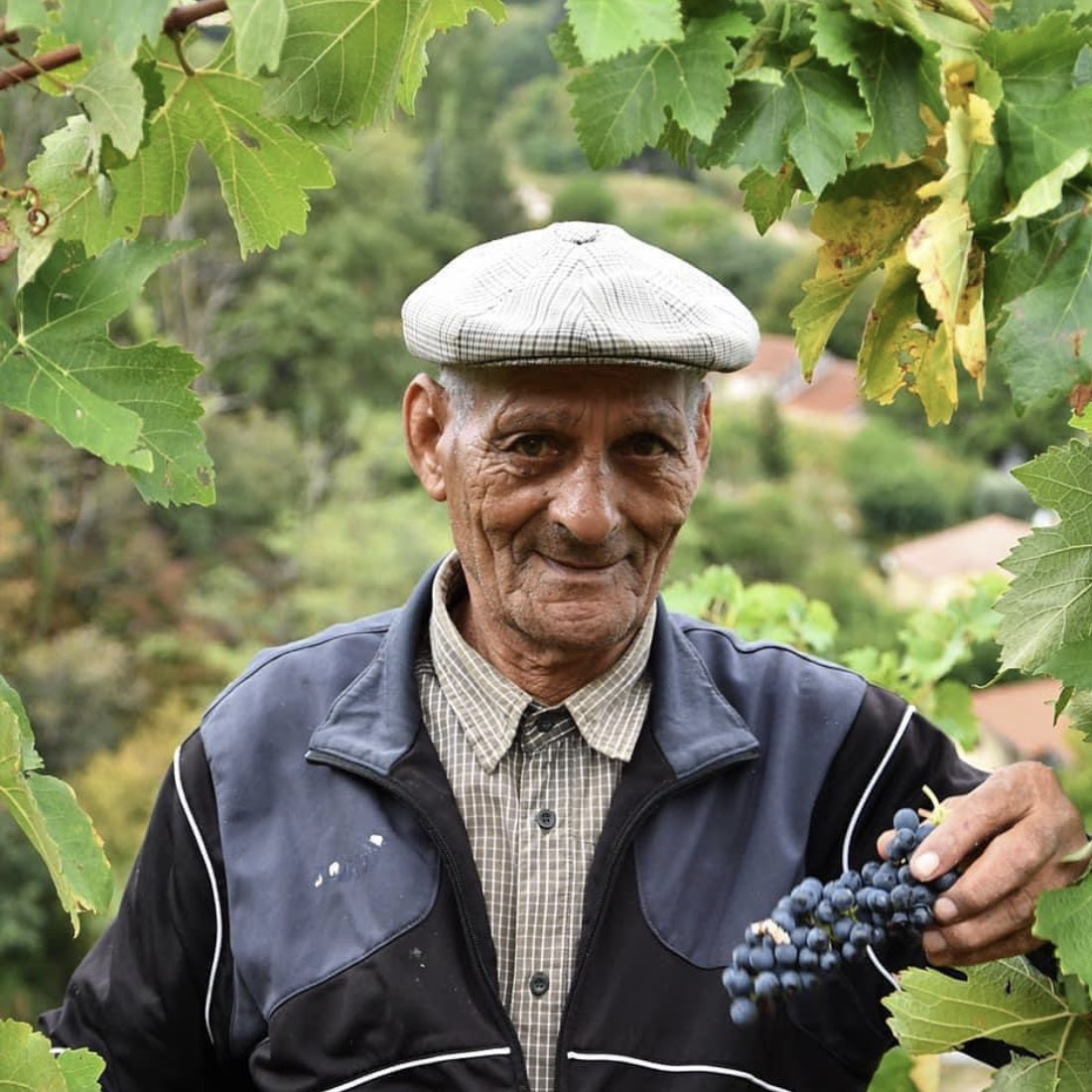 Rhone Girl-journal-natacha-chaves-winery-1